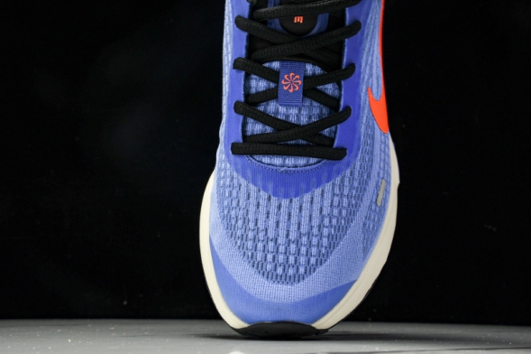 Nike Journey Run FN0228 400 