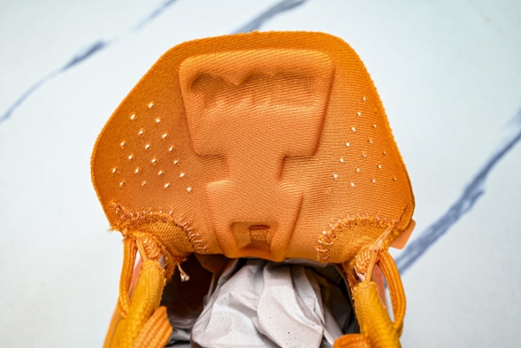 Nike Air Max Phoenix FZ5307-700 