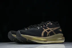Asics Gel-kayano 31 1011C099-001