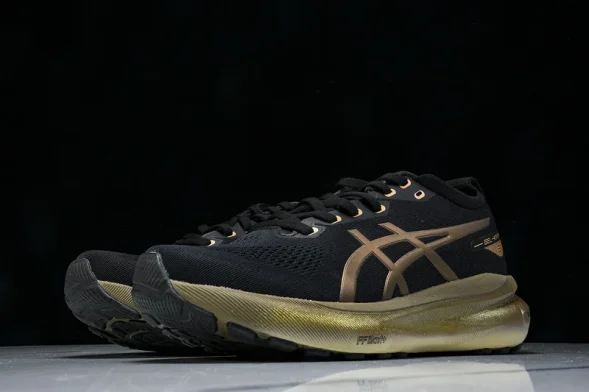 Asics Gel-kayano 31 1011C099-001 