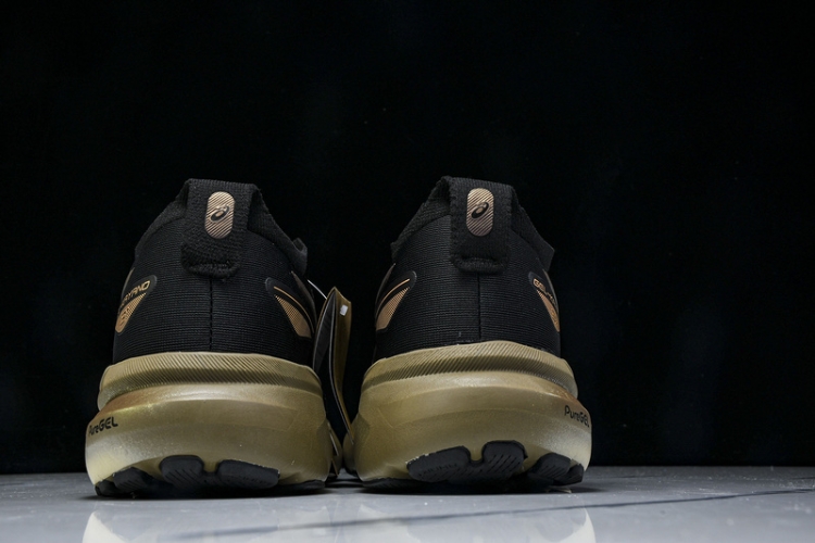 Asics Gel-kayano 31 1011C099-001