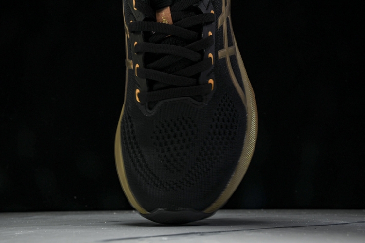 Asics Gel-kayano 31 1011C099-001