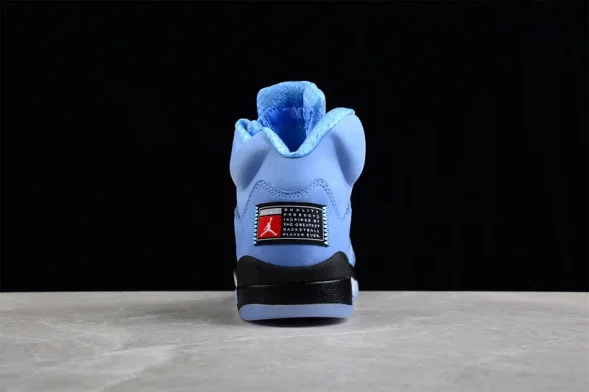 Nike Air Jordan 5 Concord DV1310-401 