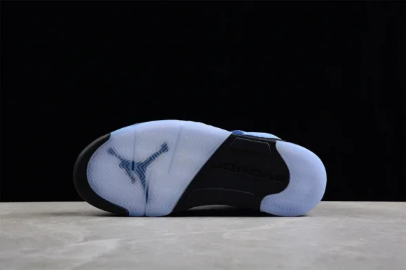 Nike Air Jordan 5 Concord DV1310-401 