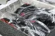 Nike Jordan Spizike Low FQ1759 600 