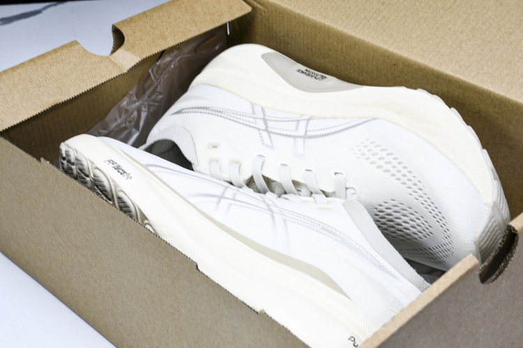 Asics Gel-kayano 31 1011B995-200