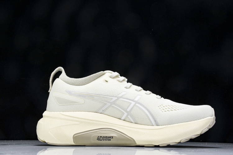Asics Gel-kayano 31 1011B995-200