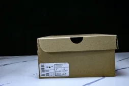 Nike Ava Rover DX4215-204