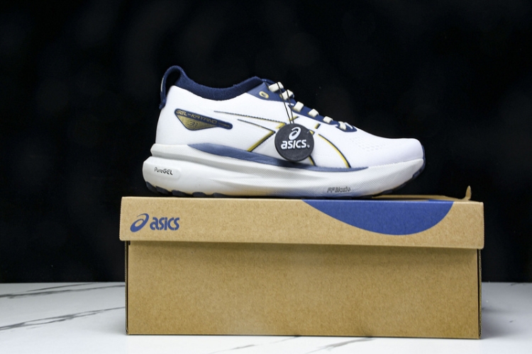 Asics Gel-kayano 31 1011B995-021