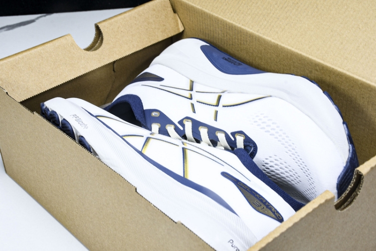 Asics Gel-kayano 31 1011B995-021