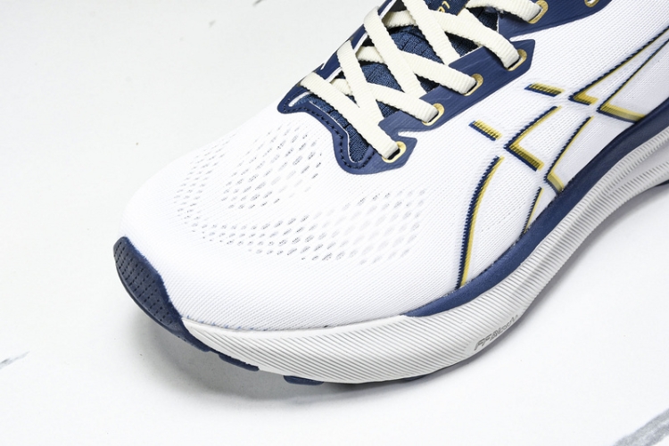 Asics Gel-kayano 31 1011B995-021