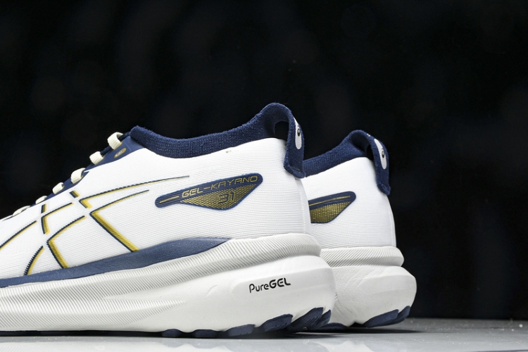 Asics Gel-kayano 31 1011B995-021