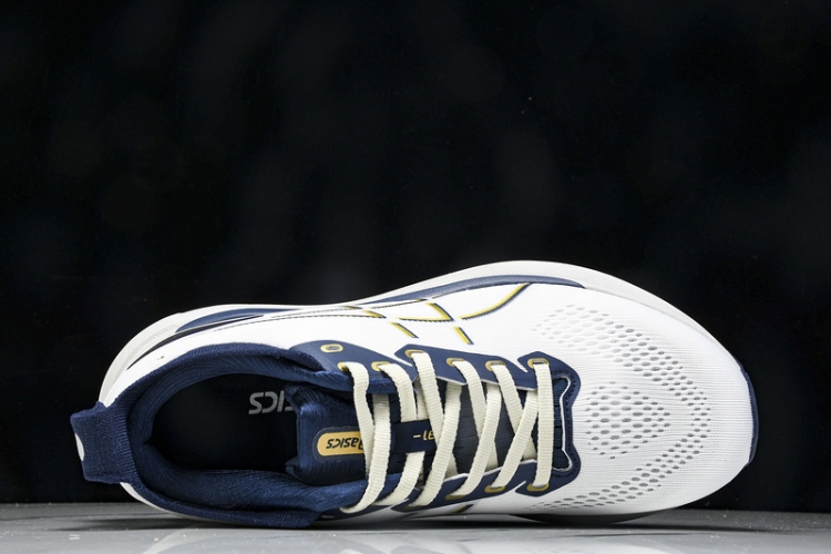 Asics Gel-kayano 31 1011B995-021