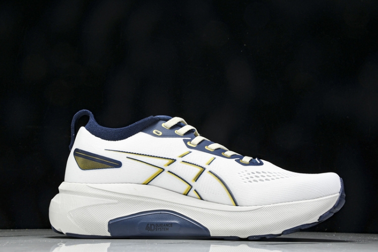 Asics Gel-kayano 31 1011B995-021
