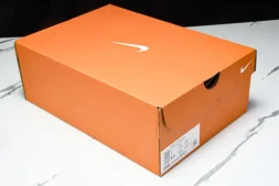 Nike Journey Run FN0228 100