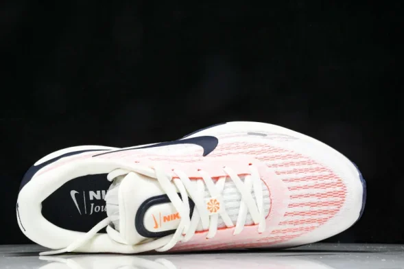 Nike Journey Run FN0228 100 