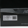  New Balance 1906  M1906RQ 