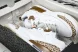 Nike Jordan Spizike Low FQ1759 101 