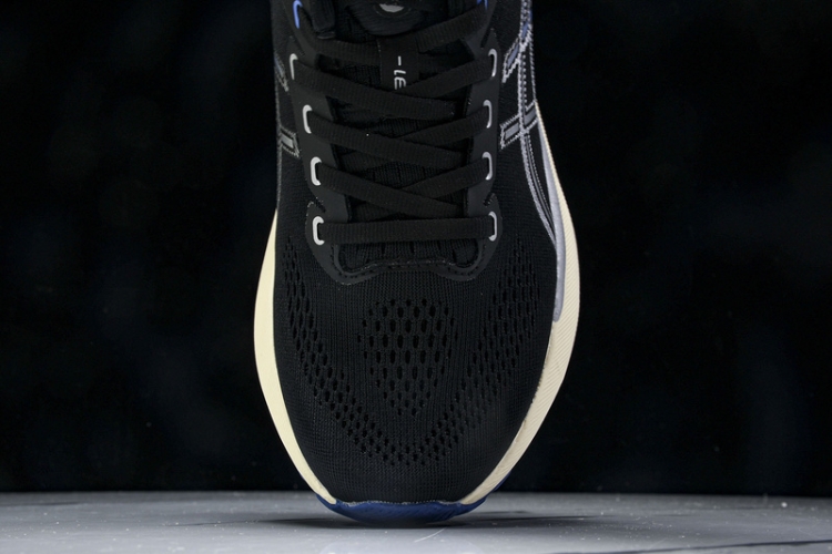 Asics Gel-kayano 31 1011B995-001