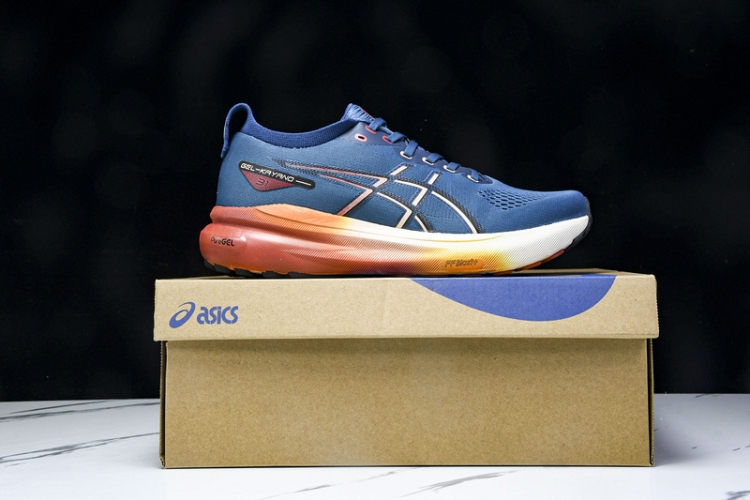 Asics Gel-kayano 31 1011B867-402