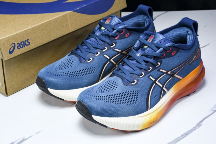 Asics Gel-kayano 31 1011B867-402