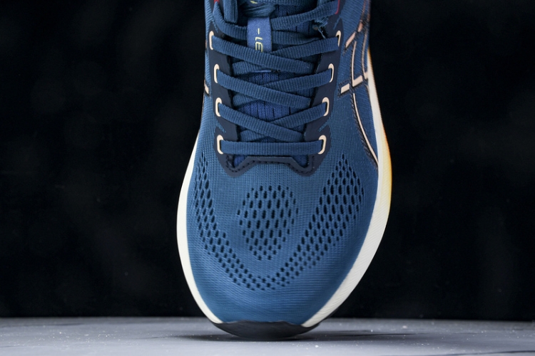 Asics Gel-kayano 31 1011B867-402