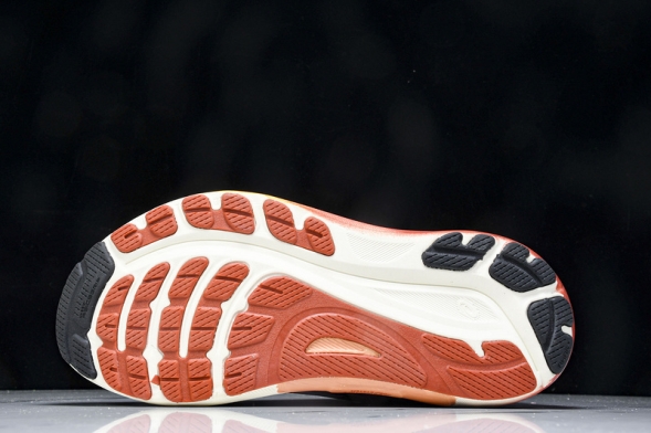 Asics Gel-kayano 31 1011B867-402 