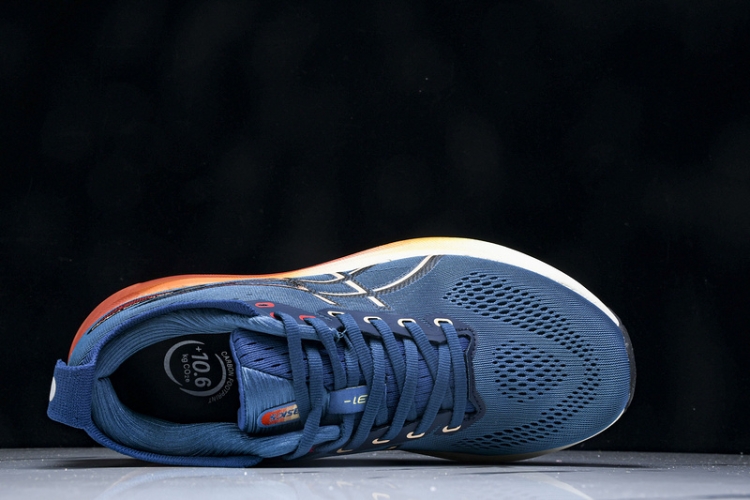 Asics Gel-kayano 31 1011B867-402