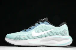 Nike Journey Run FN0228-300