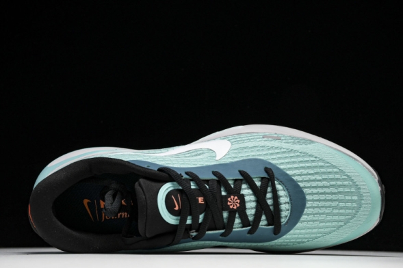 Nike Journey Run FN0228-300 