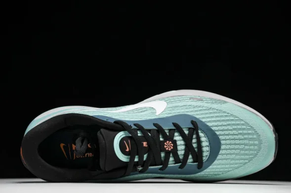 Nike Journey Run FN0228-300 