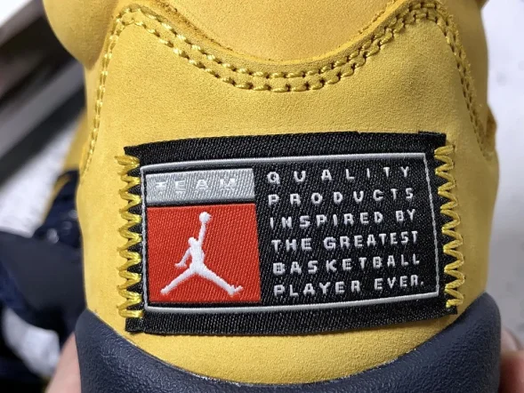 Nike Air Jordan 5 SP Michigan CQ9541-704 