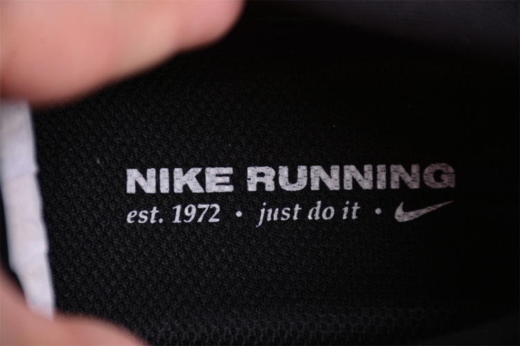  Nike Air Zoom Pegasus 41 FD2722-002