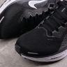 Nike Air Zoom Pegasus 41 FD2722-002