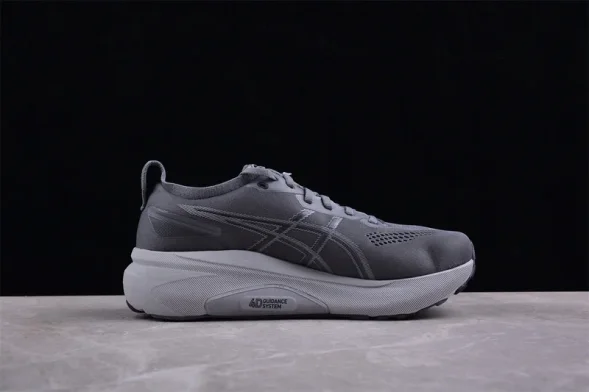 Asics Gel-kayano 31 1011B867-020 