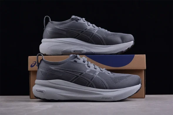 Asics Gel-kayano 31 1011B867-020 