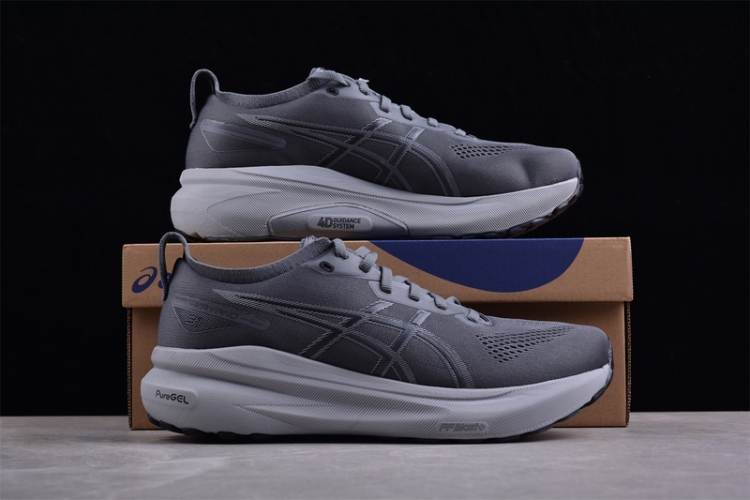  Asics Gel-kayano 31 1011B867-020