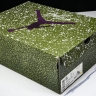 Nike Jordan Spizike Low FJ6372 100