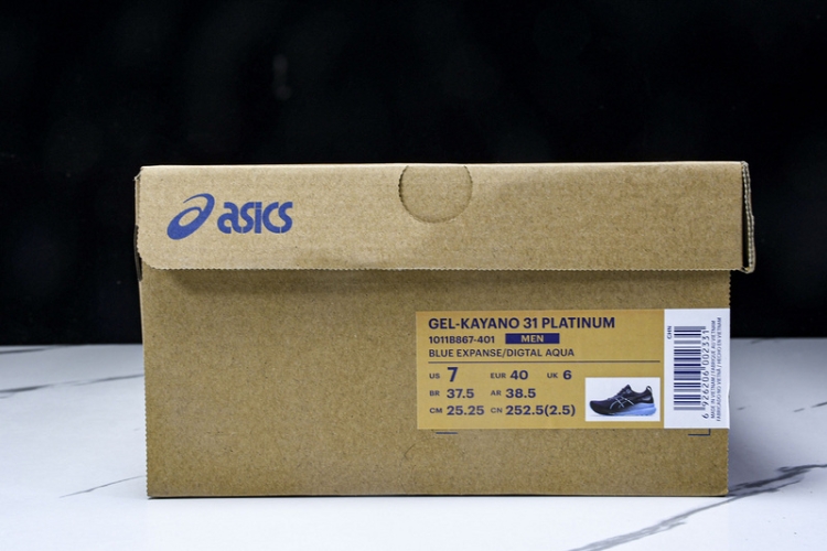 Asics Gel-kayano 31 1011B867-401