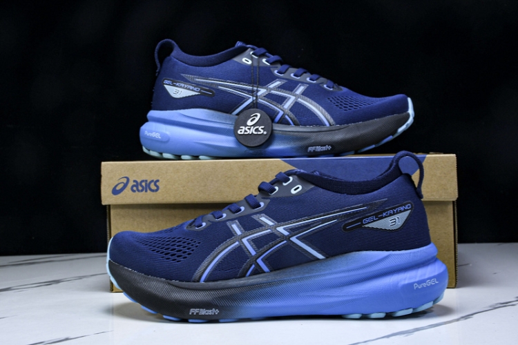 Asics Gel-kayano 31 1011B867-401