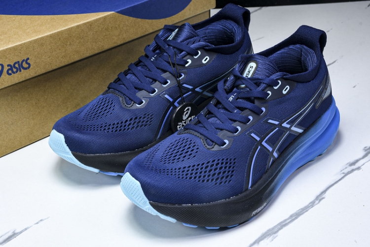 Asics Gel-kayano 31 1011B867-401