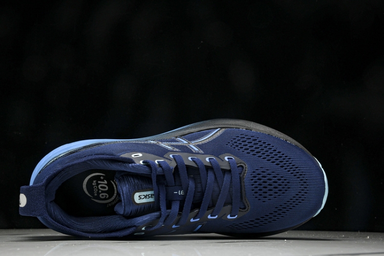 Asics Gel-kayano 31 1011B867-401
