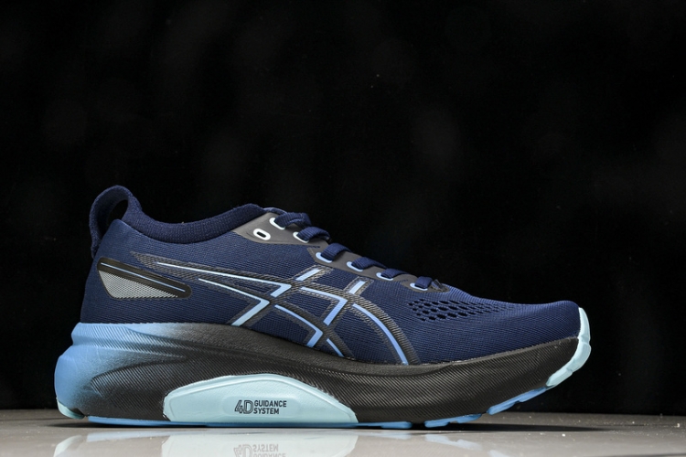 Asics Gel-kayano 31 1011B867-401