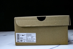 Nike Ava Rover HQ2863 300