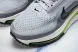 Nike Air Zoom Pegasus Premium IR1815-012 