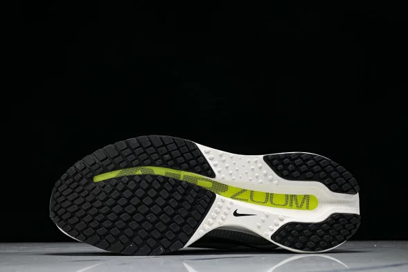 Nike Air Zoom Pegasus Premium IR1815-012 