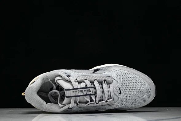 Nike Air Zoom Pegasus Premium IR1815-012 