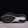  Nike Air Zoom Pegasus 41 FD2722-100
