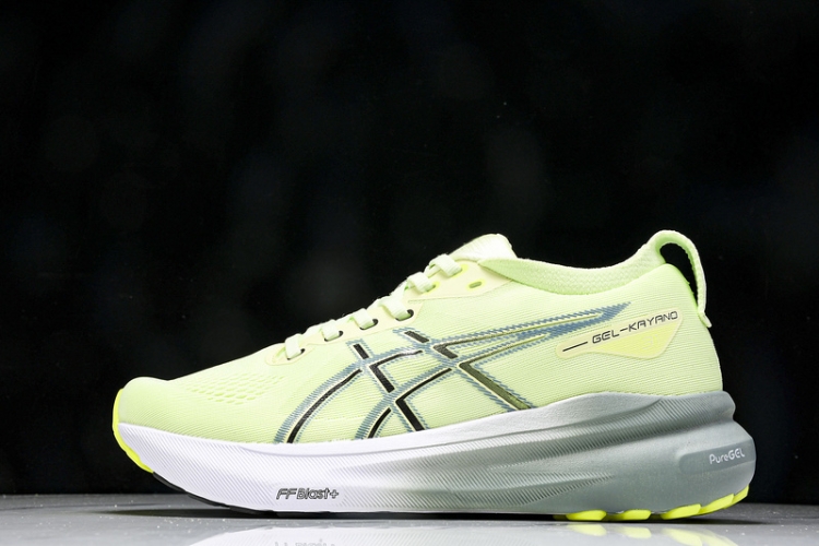 Asics Gel-kayano 31 1011B867-300