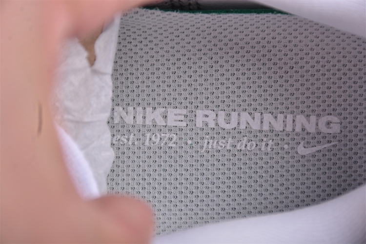  Nike Air Zoom Pegasus 41 FD2722-102